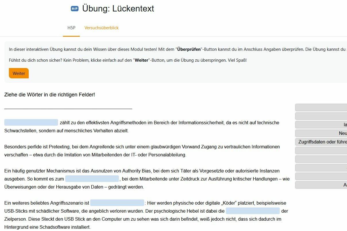 Screenshot eines Lückentextes