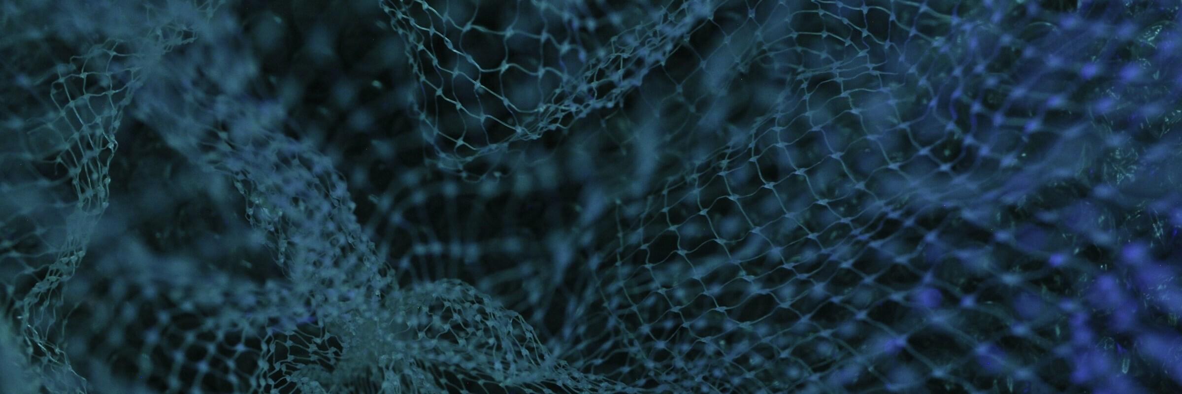 Netz aus Daten Netzwerk