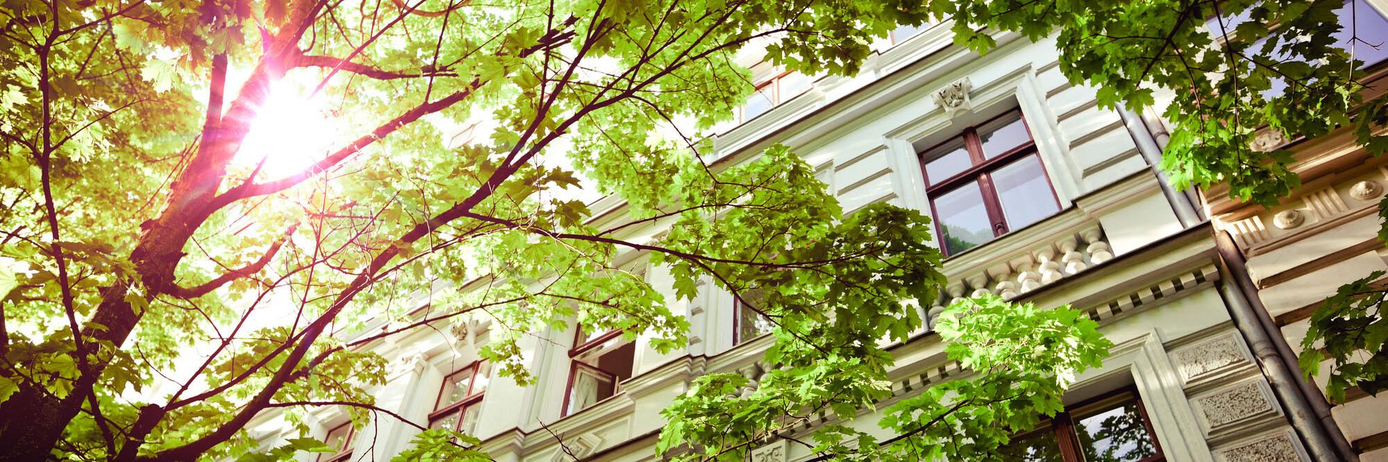 Hausfassade mit Bäumen Hausfassade mit Bäumen im Sonnenlicht