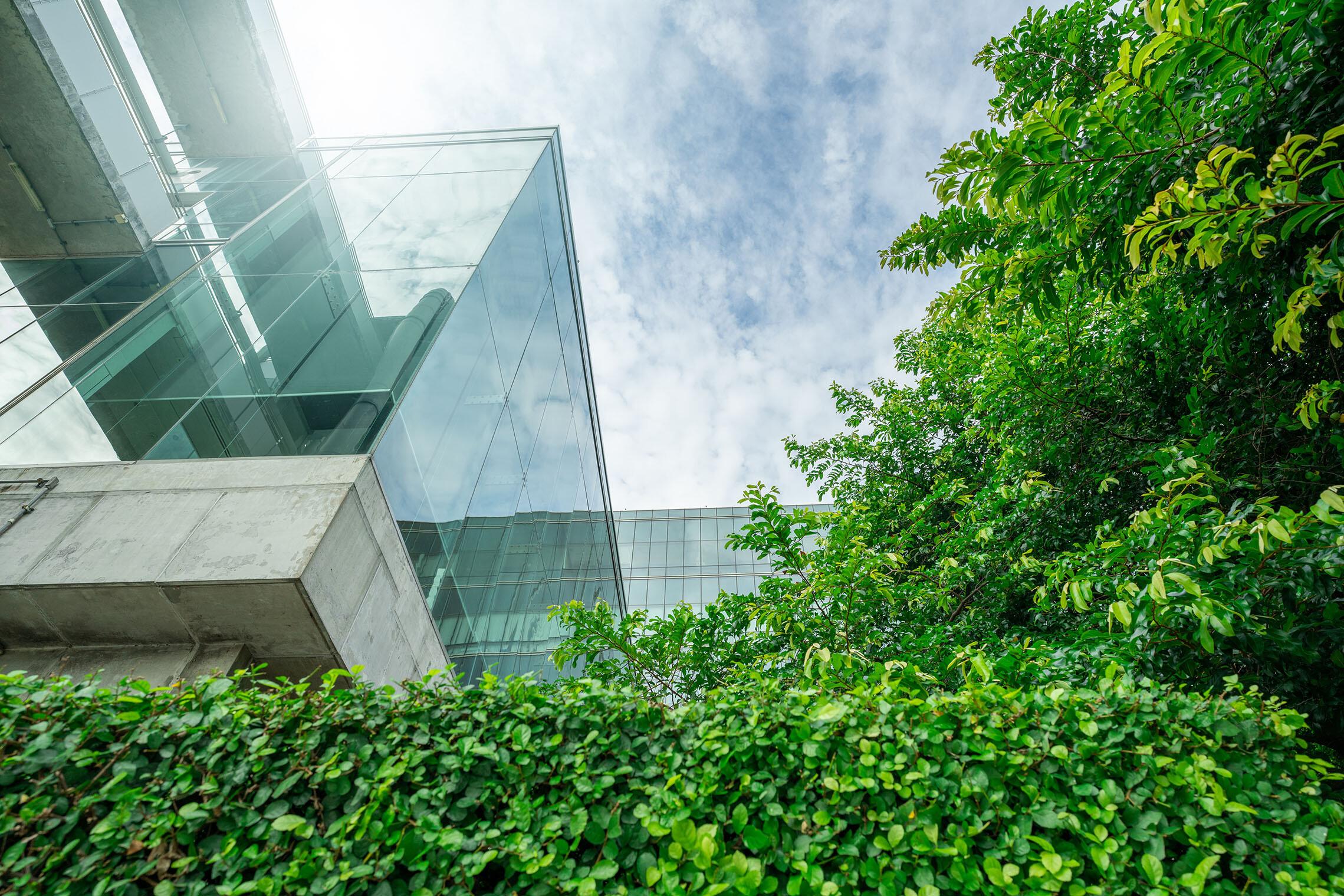 Innenhof mit vielen Pflanzen Blick von einer pflanzenbedeckten Mauer nach oben zum Himmel, links ist ein gläserner Hausvorsprung